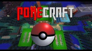 Willkommen in der Welt der Pokemon | Pokehaan Craft