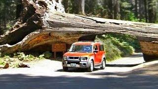 Driving thru a Tree - Tunnel Log, Sequoia National Park