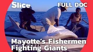 Fundi Shark Masters: The Legendary Shark Fishermen of Mayotte | SLICE | FULL DOCUMENTARY