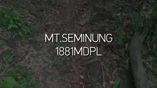 Gunung Seminung 1881 MDPL (OKU Selatan-SumSel)