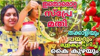 ഇത് ഒരൊറ്റ സ്പ്രേ മതി തക്കാളിയും പയറും മുളകും പറിച്ച് കൈ കുഴയും| Vegetable plants flowering booster