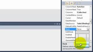 Databases in Visual Basic 2010