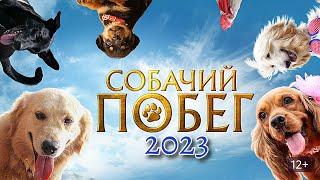 Индийский фильм "СОБАЧИЙ ПОБЕГ" (2023) | На Русском