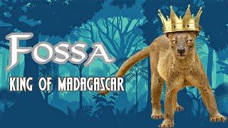 Cầy Fossa - Vị vua của thế giới động vật ở Madagascar