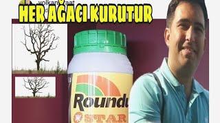 HER AĞAÇ KURUTUR ROUNDUP STAR YABANCI OT ÖLDÜRÜCÜ 1 LT ilaç