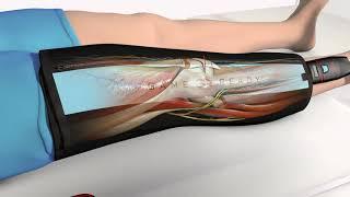 Game Ready Clinical Animation