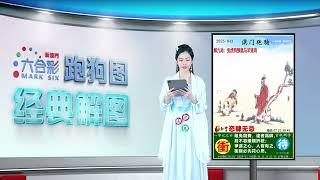 第043期 --【新澳门跑狗图】小龙女来给你解图啦！