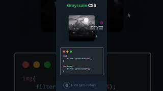 Grayscale CSS with Newgencoders  #coding #codingmastery #codingskills