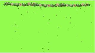 Flowers falling green screen  HD video effects