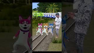 funny danceing colourfull dog stop the train #tranding #youtubeshorts #viralshort #shorts