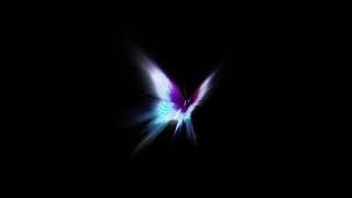 BUTTERFLY [OFFICIAL AUDIO]