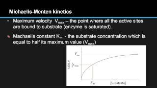 B.7.4 Determine V max and the value of the Michaelis constant (K m) explain its significance.