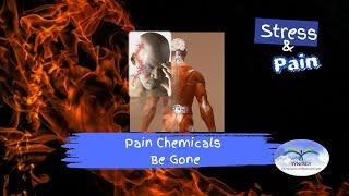 Chronic Stress & Pain - Chemicals Be Gone