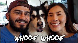 Dogs can be SCARY !!  Bangkok Thailand Vlog