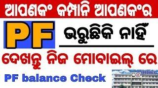 ନିଜ ଫୋନ୍ ରେ PF balance କେମିତି  ଦେଖିବେ | How to check epf balance  | PF account balance check | OTC