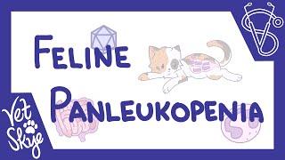 Feline Panleukopenia - causes, pathology, clinical signs, diagnosis, treatment