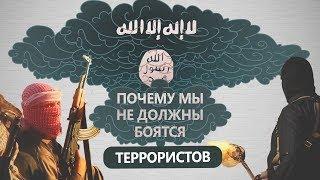 Почему мы не должны бояться терроризма? / Природа терроризма / Как реагировать на терроризм?