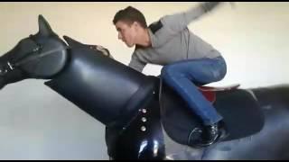 horse racing simulator