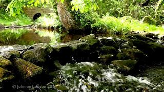 8 hours Water Sounds for Relaxation & Meditation - Relaxing Stream Waterfall - Babbling Brook Sound