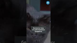 Квартирный вопрос / Новости Беларуси #квартира #жилье #shorts