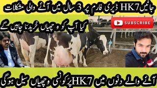 Hk7 dairy farm Ka Safar II Challenges at hk7 Dairy farm II Targets of HK7 dairy farm II HK7 Dairy