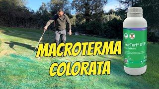 Coloro il prato di Paspalum  per l’inverno - Green turf paint