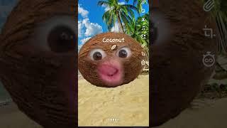 #stav #roblox #tiktok #robloxfan #funny I'm a coconut   