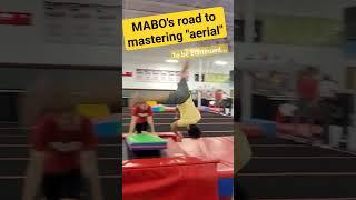 Mabo's gymnastic training - Aerial