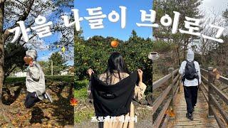 Autumn jeju vlog| Mountain of fear | Oreum with pretty silver grass | park walking | New cafe