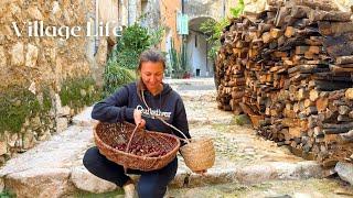 French Village life, Furniture Makeover, Harvesting Chestnuts & enjoying warm autumn in South