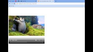 How to autoplay video in html