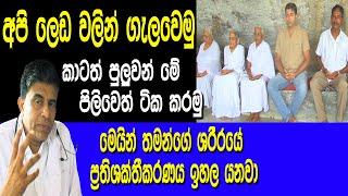 ලෙඩ වලින් ගැලවීමට ප්‍රතිශක්තීකරණය වැඩි කරගමු | meditation to life