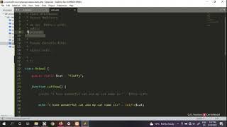 10. Understanding of Static Variables in PHP | How access Static Variables in PHP? | Learn PHP OOP