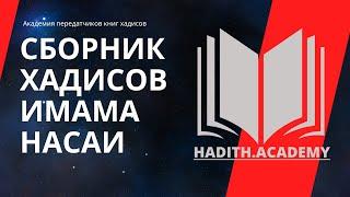 Сунан ан-Насаи. Дистанционное обучение – слушайте в удобное время. 37 часов аудиозаписей.