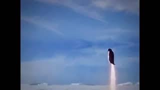 Rocket Penguin Gif (with Sound Effects!)