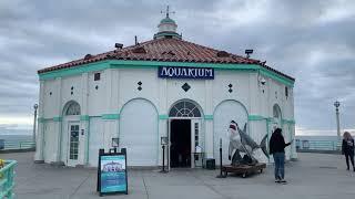 Downtown Manhattan Beach Pier (AA: Ep. 48)