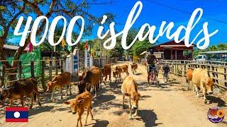 LAOS HIDDEN GEM - 4000 ISLANDS CHILL PARADISE! DRONE