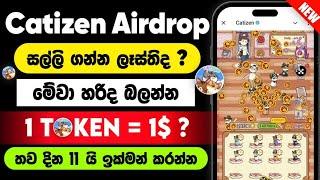 Catizen Airdrop Sinhala | Catizen Airdrop Eligible Criteria | Level Up Trick | Withdraw Update #cat