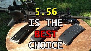 Why 5.56 is The Best For Most People