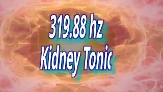 Revitalize Your Kidneys With This Vibrational Tonic At 319.88hz! | AquarianHarmonics.com