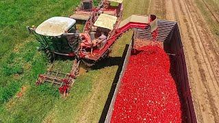 Increíbles Máquinas Agrícolas Modernas y de Alto Nivel Que Nunca Habías Visto