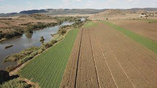 Farm For Sale 1070 Hectare with 4 km Vaal River Frontage