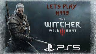 Let`s Play The Witcher 3 Next Gen Ps5 [Deutsch]️️️119 - Schöner Vogel!