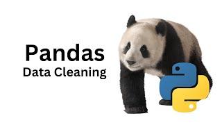 5 What is Data Cleaning in Pandas?