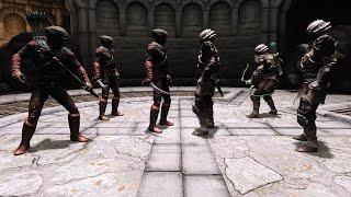 Skyrim NPC Battle - Dark Brotherhood Vs. Morag Tong