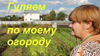 Прогулка по огороду. Продолжение.