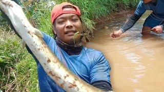 REKOR LAGI!! SIDAT MONSTER TERANGKAT DI SUNGAI KERUH..