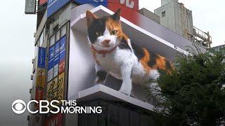 3D digital billboard image of a giant cat draws attention in Tokyo