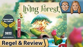 Living Forest – Kennerspiel des Jahres 2022 – Brettspiel – Review und Regelerklärung