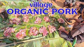 गाउको अर्गानिक बङुर || Village organic pork|| #sembuchhavlogs